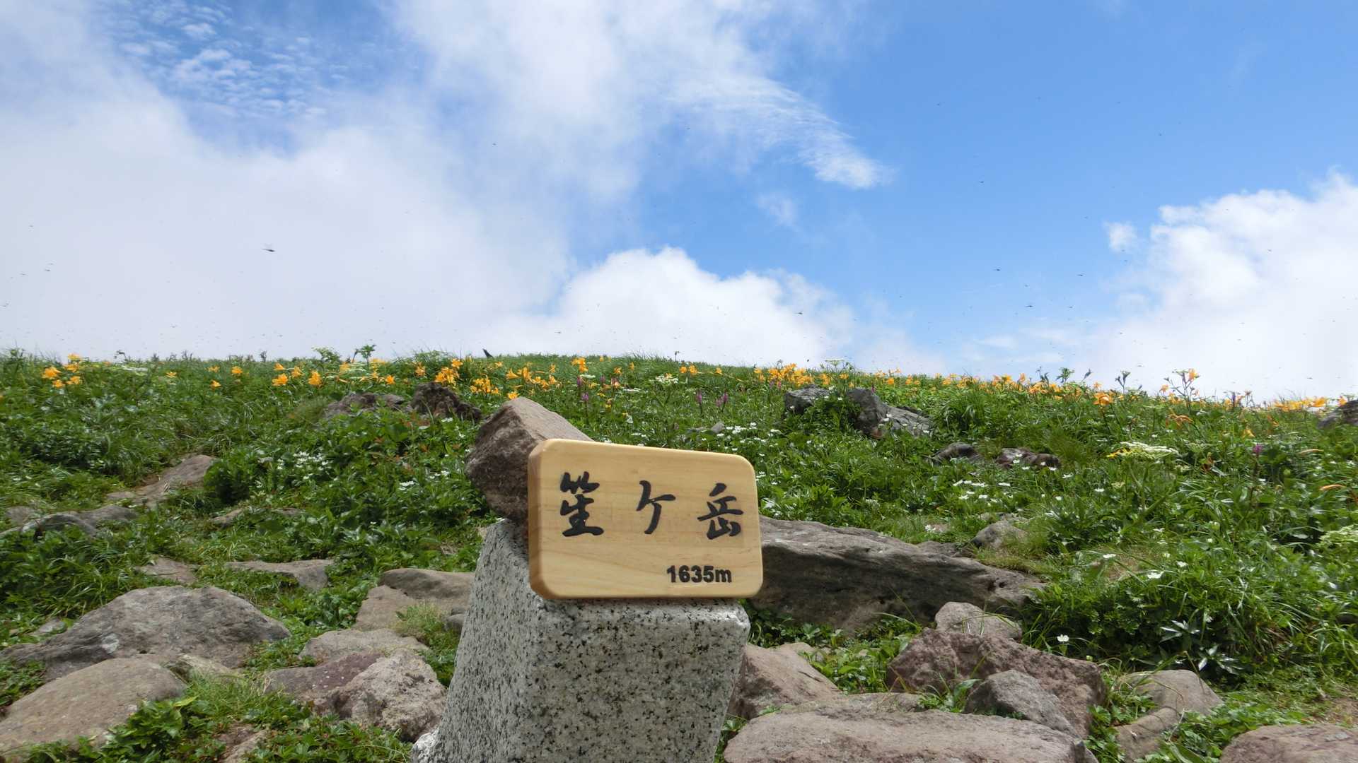 山頂とうちゃくぅ。まだ青空ありますがこの後下からガスが大量に上がってきて🤣そそくさと戻って御浜に向かいます