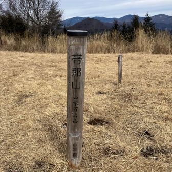 山頂は広々していて大きいベンチが何個かあります
