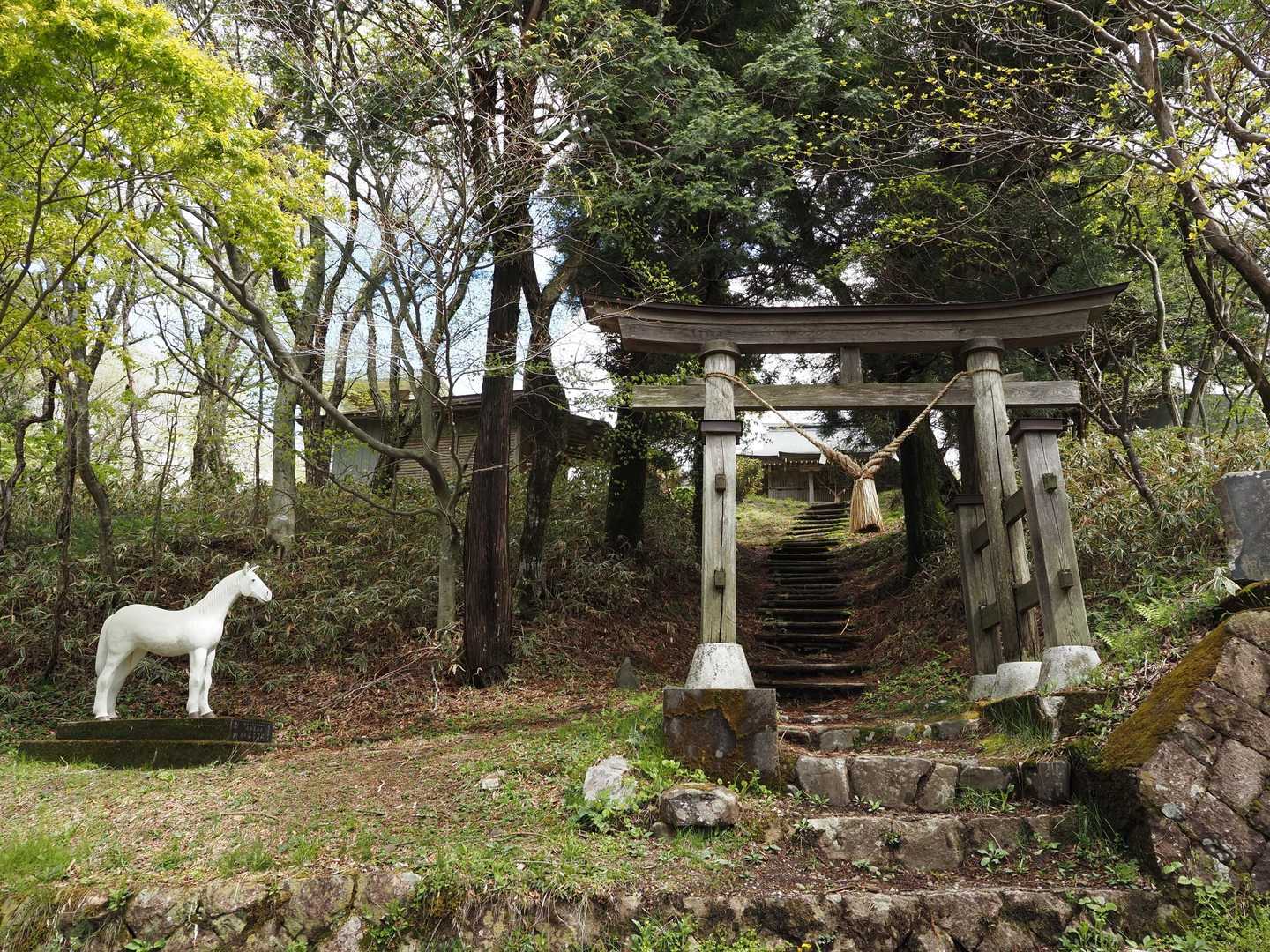 八溝山 周回コースの写真