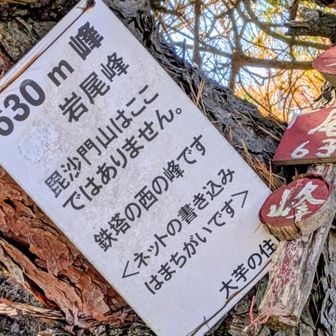 さらにさらに拡大