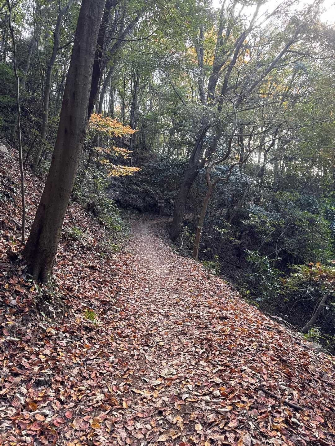 内山コース登山口-宮路山 往復コースの写真