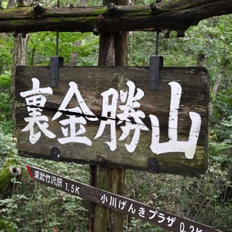 裏金勝山