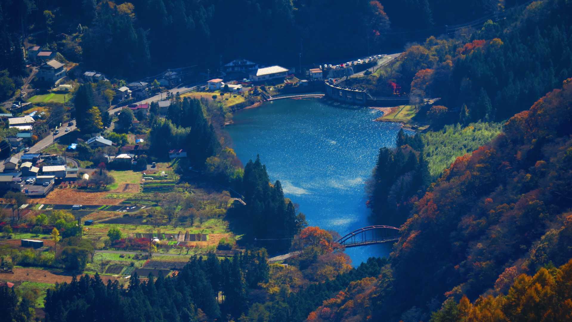 zoom❗️綺麗だ
