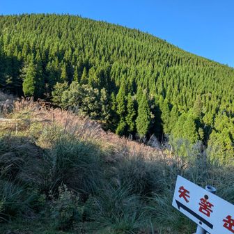 脊梁最後の章