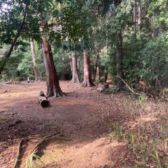 低い山ですがしっかり山を感じれます✨✨