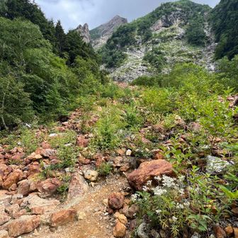 赤沢山の岩壁の一つ目の崩落地を通り過ぎます。