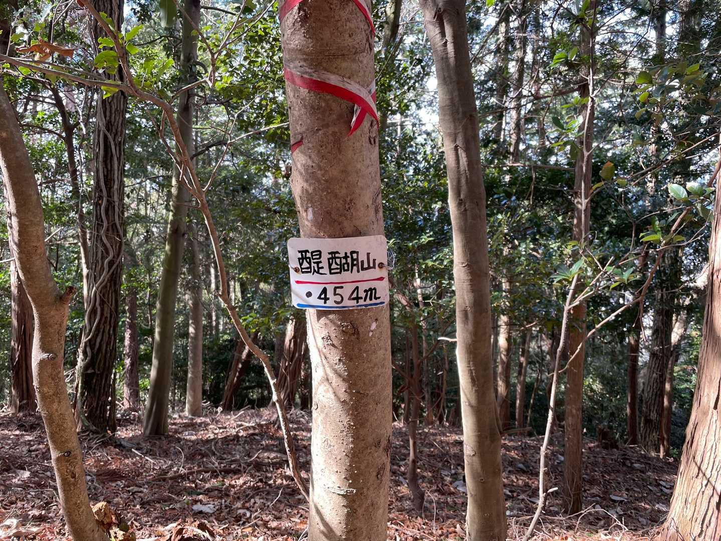 醍醐山-横嶺峠-高塚山 周回コースの写真