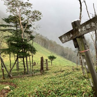 甲武信小屋の分岐から甲武信岳登頂を目指したが、それまでの急登でけっこうバテており、天気も雨が降り出した。今日はまだ先があることを考慮して途中で引き返すことに。木賊山をトラバースして笹平の避難小屋到着が17時過ぎ。明るいうちに到着できて正解だった。