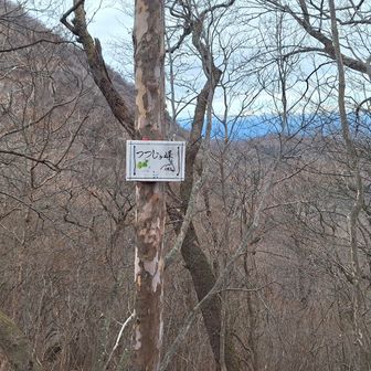 つつじヶ峰
三角点ありました
行きに気づかなかった…