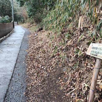 生駒山・神津嶽・大原山 なるかわハイキングコースから