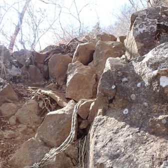 分岐に戻り、覚悟していた下山路へ。
岩場を何度も下る。
ロープの有無はまちまち。