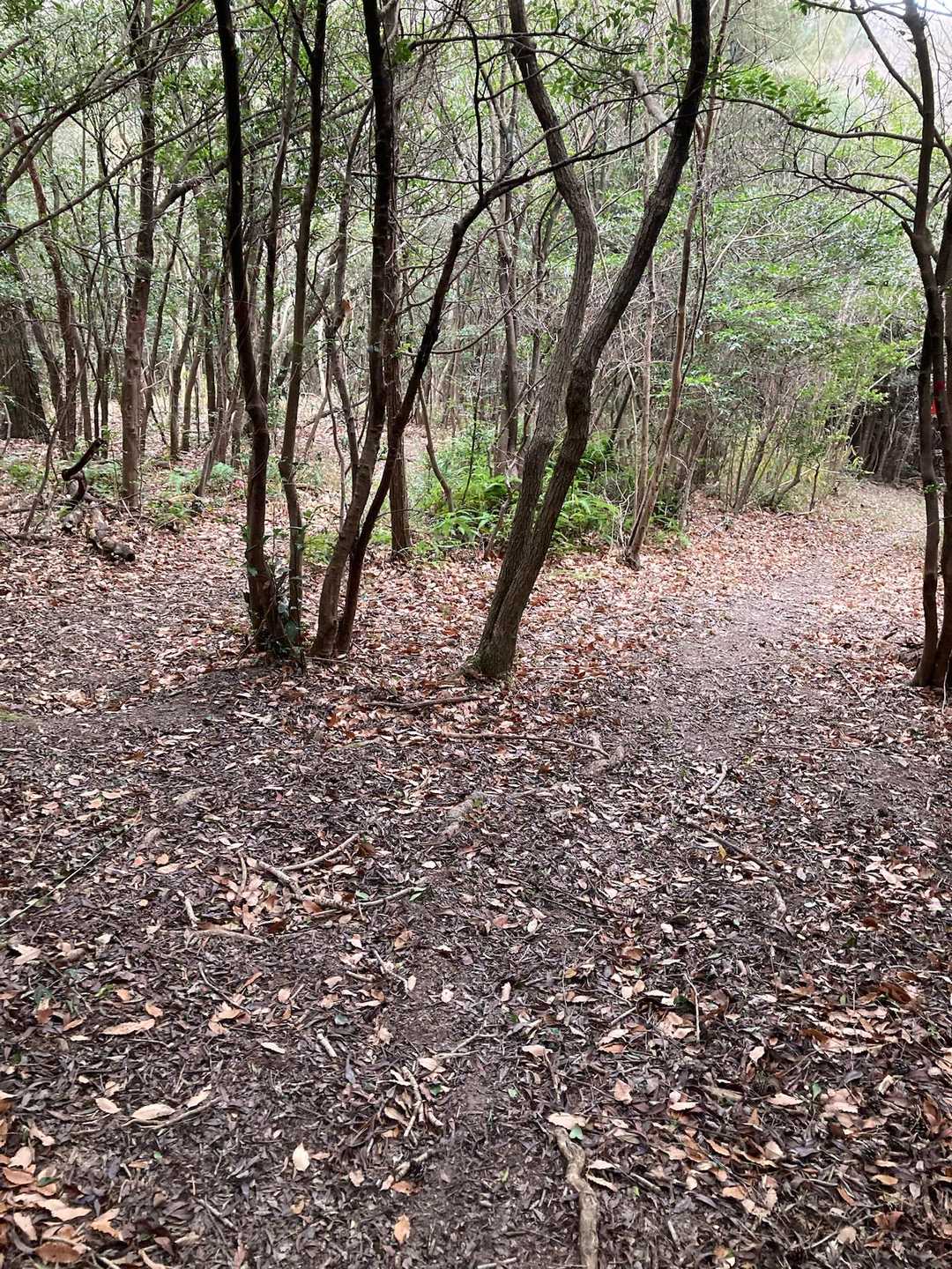 ここを右へ➡️周回で帰ります