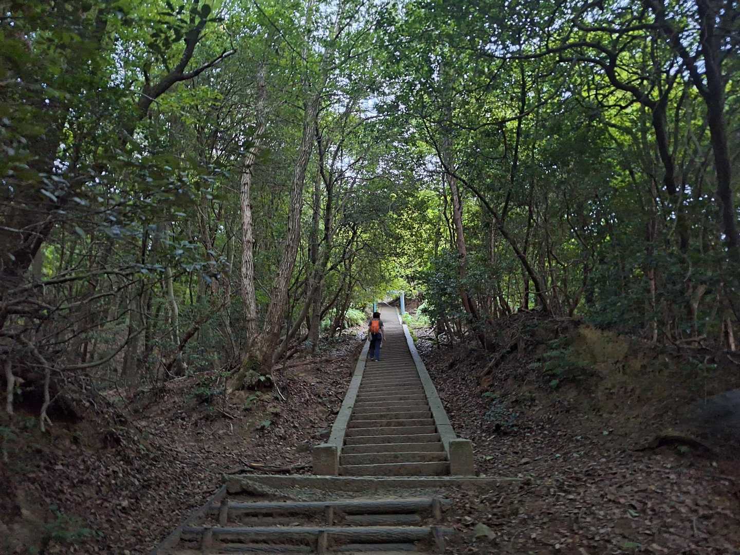 ここまで来れば、もう少し
