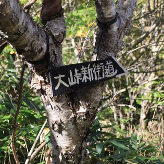 途中、往路は新街道、復路は旧街道（松川街道）を経由した。
※新街道の一部は笹の背丈が伸びて歩き難い箇所あり。