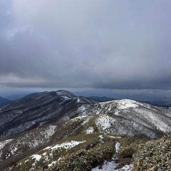 東屋まで行こうかと思ったけど、雪もないし風も冷たいし、今日は周回のみに変更