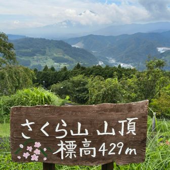 さくら山