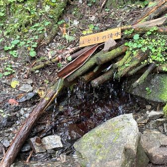 飲む気になれん😓