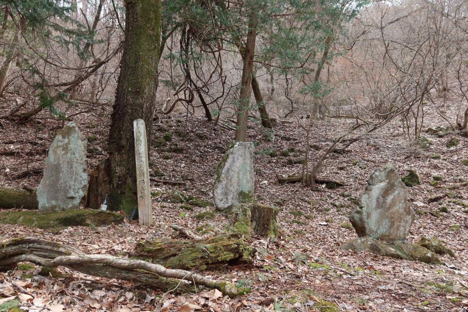 北条国時の墓(山歩き地図による)を過ぎ、
古井戸を過ぎ、塩田城跡を通って、