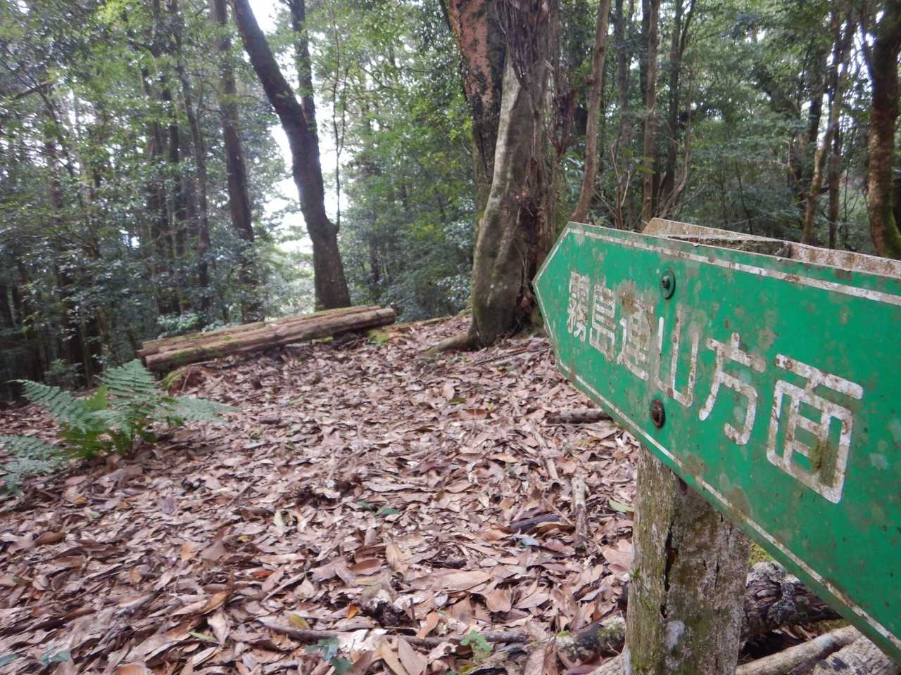 これだけ