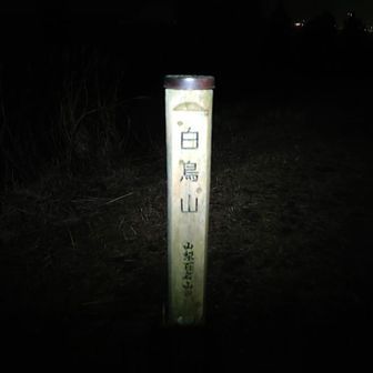 ちょっと不気味。😅