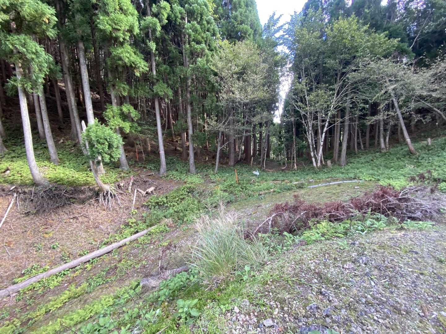 やっと登山口到着。