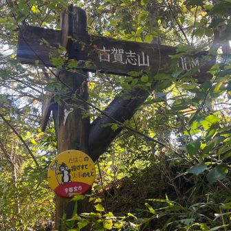 レトロな看板が可愛い🐿️