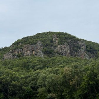 まずはこちら鷹巣山へ