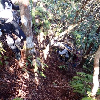 なかなかの急登をウロウロ