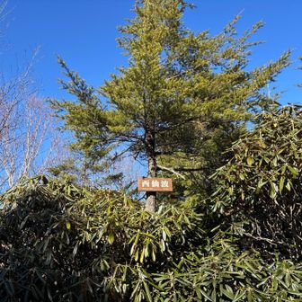 ルート上に突如現れる西仙波のピーク。