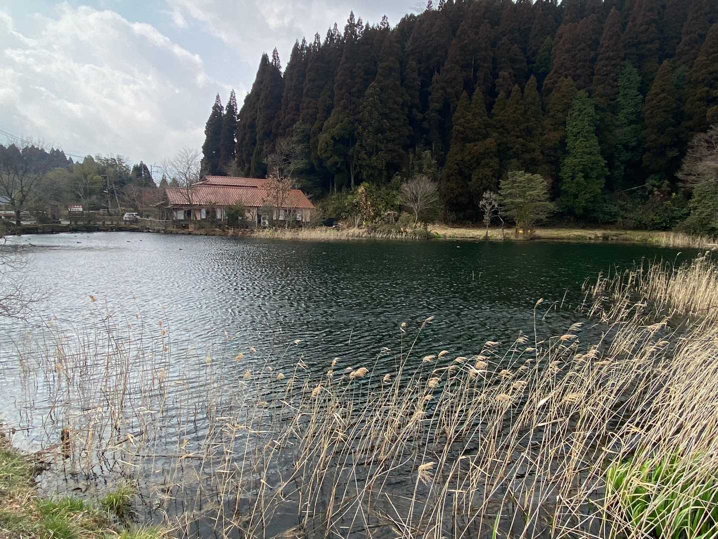 駐車場横に池。
🦆がたくさんいました。