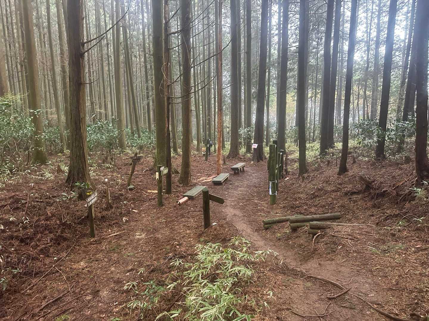 前年のチャレンジダイトレでは賑わっていた千早峠も誰もいないなぁ､､､。