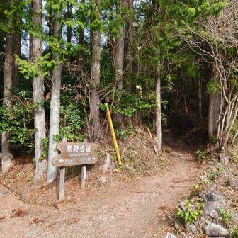 宿泊地は近露だけど、もう少し先まで行きます。