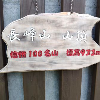 コレだな!!🤔
信州100名山とな???