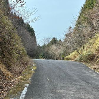 林道を降ります。
ここから長いロード歩きです。