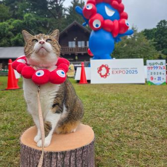 ぴのﾁｬﾝ♡ 5回目金剛山