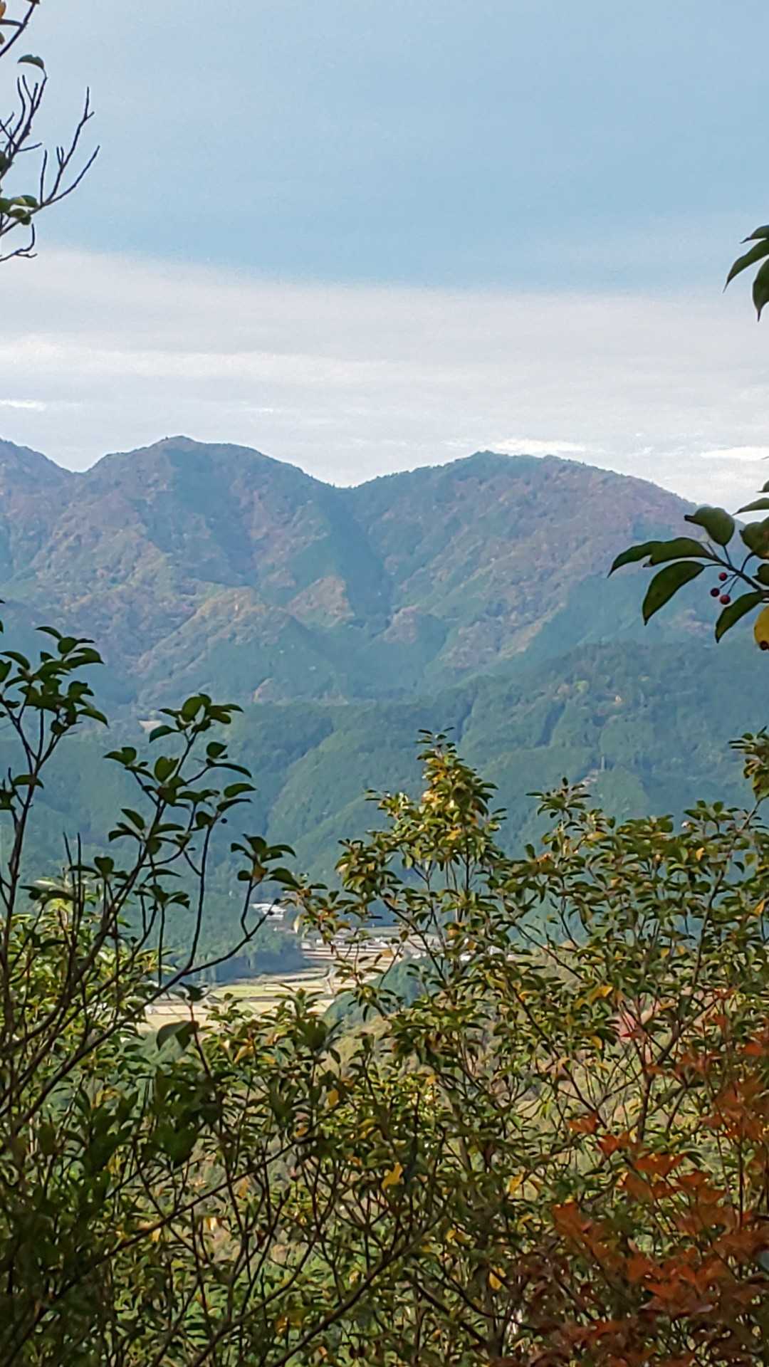 東山登山口-妙見山-牧野登山口 周回コースの写真