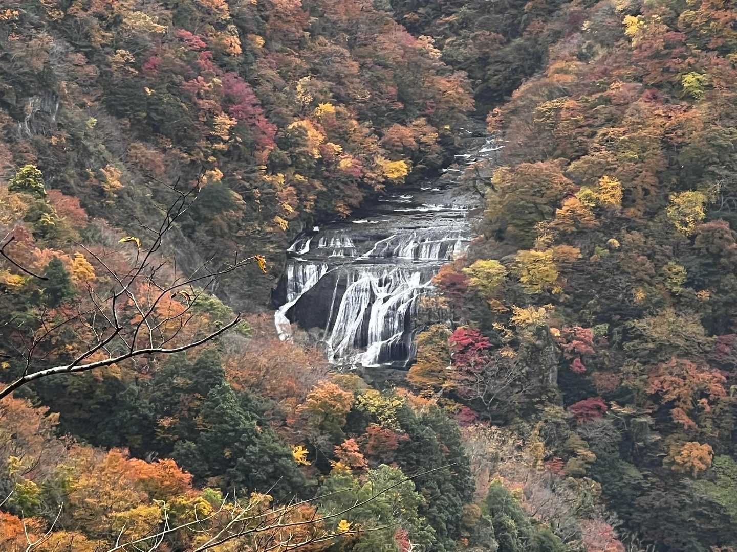登山道上から袋田の滝を正面側から眺めることができました。
今回この撮影ポイントを初めて見つけました。