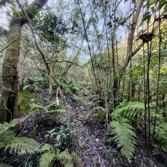 夏は薮いんだろうなってところもたくさん
