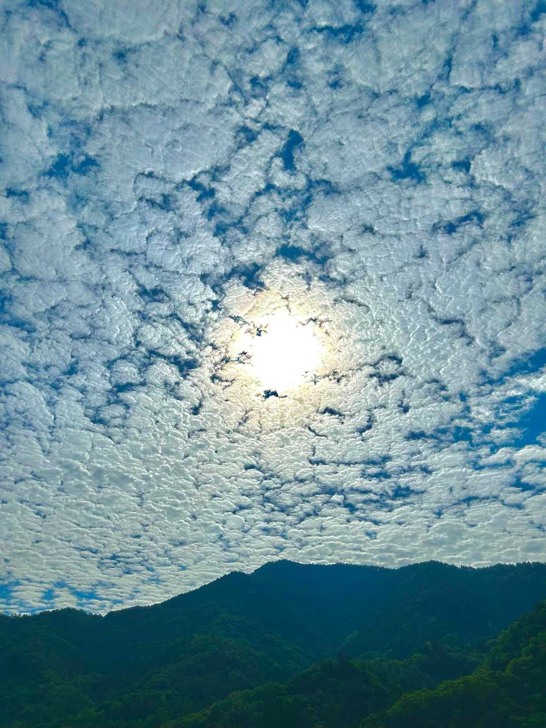 この季節に珍しい？