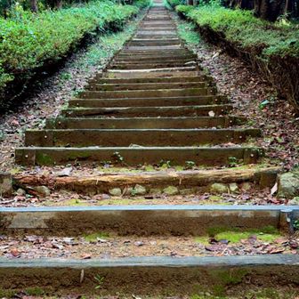 熊本は石階段だったな〜✨また行きたい
ここは木だった🌳