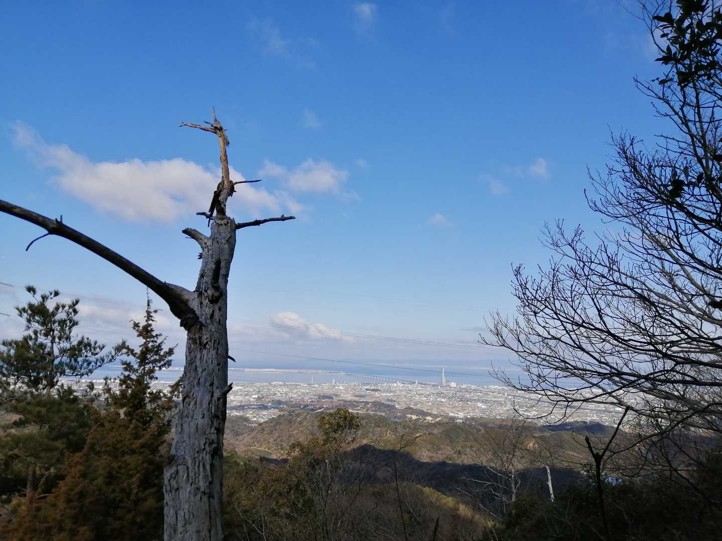 新▲殿尾山からの眺め👀絶景