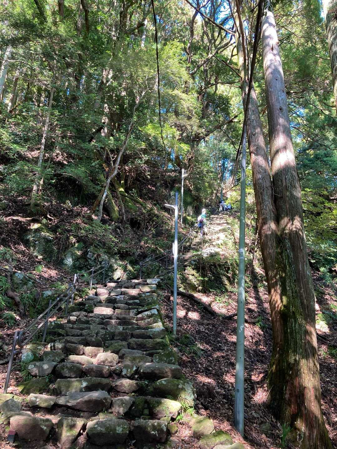 風情がある登山道