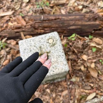 あったわ～三角点😭