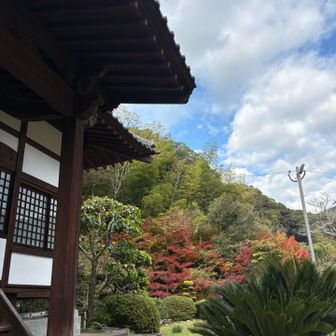 妙相寺境内の紅葉