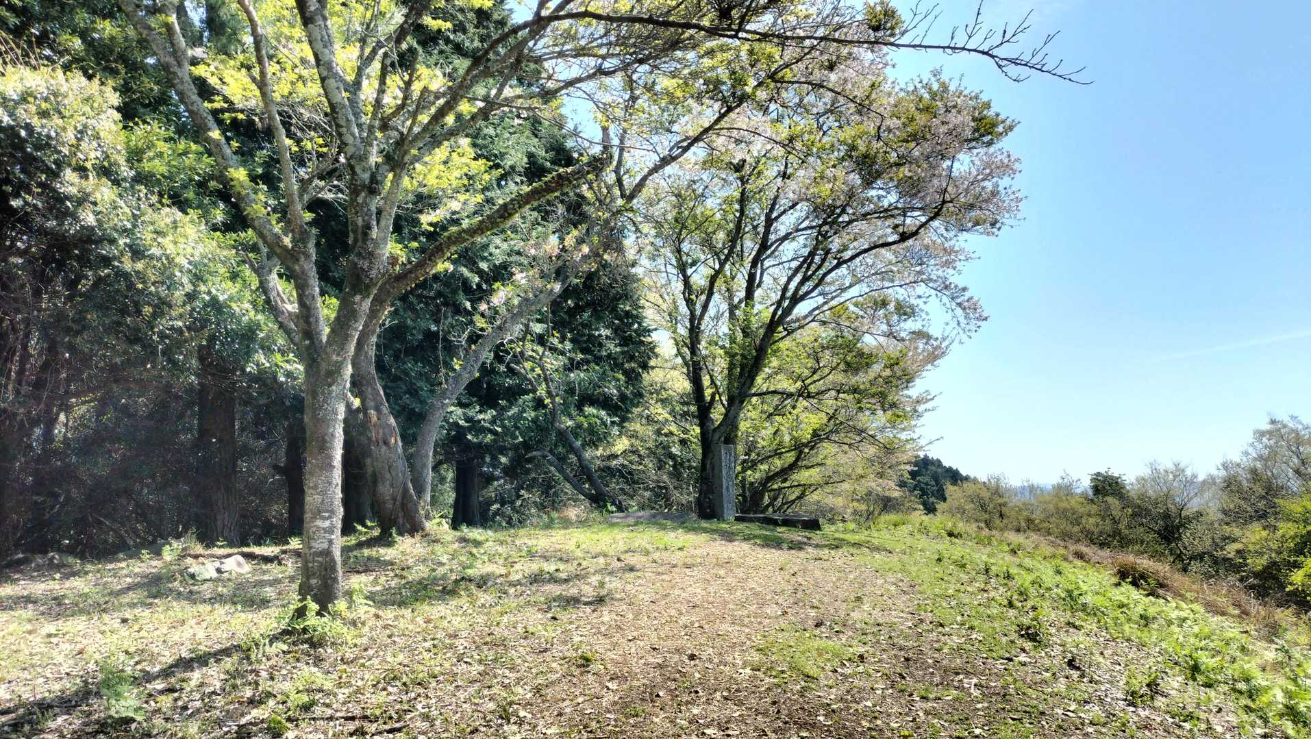 目配山の頂上の近くに。もうちょっと先かな。