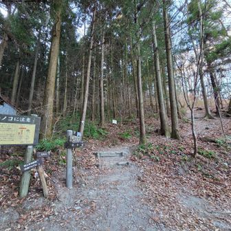 宝登山の北口からアプローチ