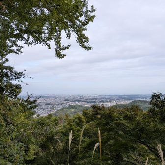 あの青空は〜💭
　山頂付近から出迎えてくださったのは、
天からの " 支えプレゼント 🌞"
　　　　だったと感じるほど…曇り空に☁

太陽さんの姿ないと…
　　　　　　肌寒さを感じるょ…🥴
気温差に気をつけつつ、
　　一歩、一歩歩み、下山へと🥾🥾

帰宅後も、
　「　楽 し か っ た  😄　」
    　　　　　　　　　と溢れる微笑み。
" 笑顔になれる時間 " も大切にし、
　　　　　　　　心のポケットへと💭