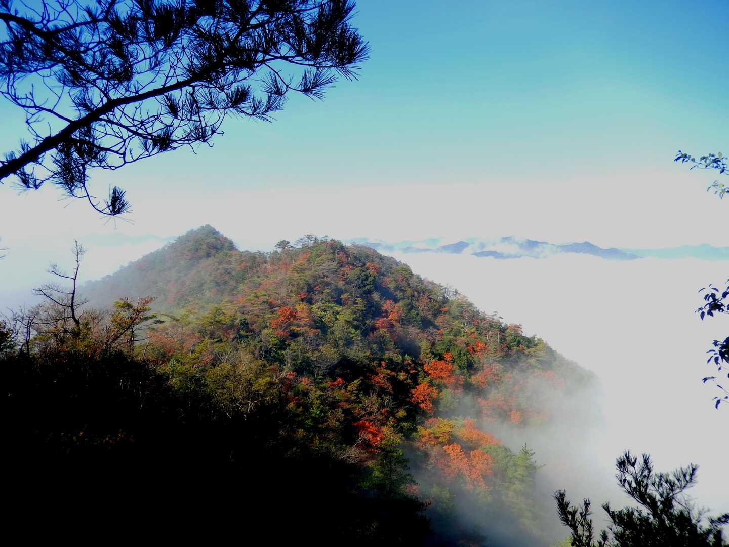 白山 往復コースの写真