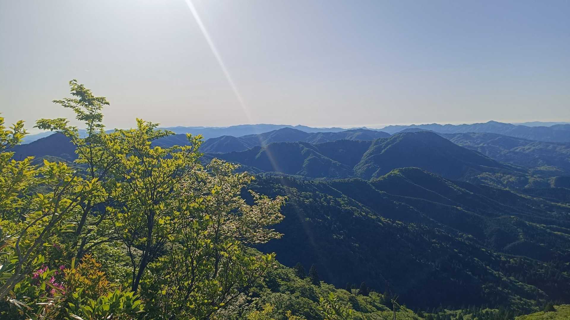 金ヶ谷山方面