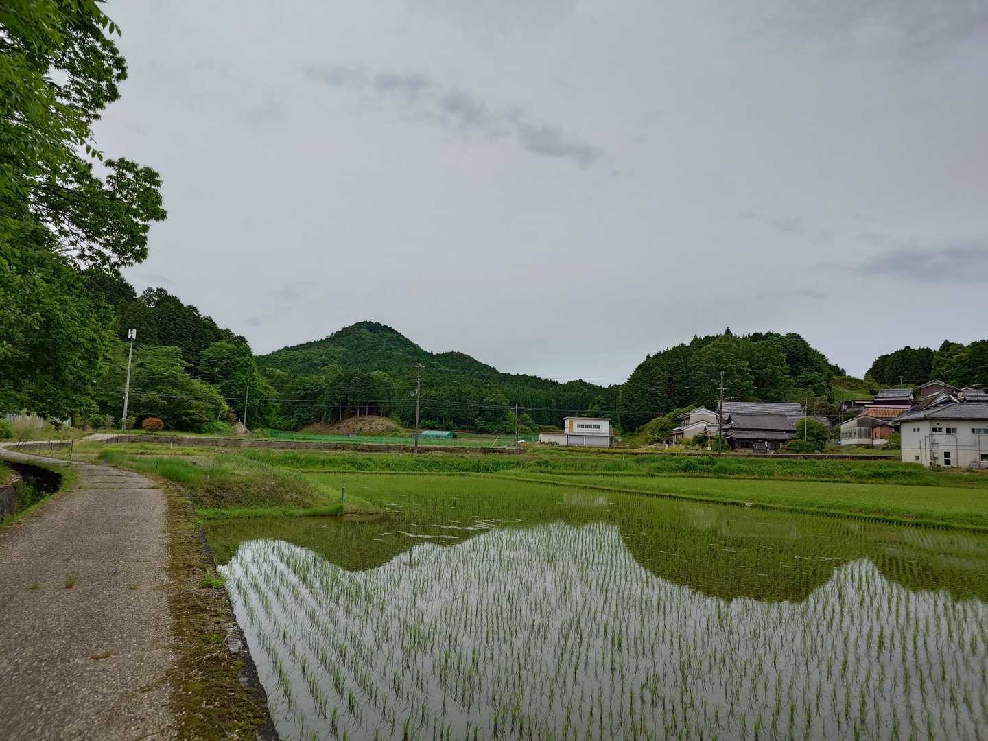 都介野岳、田んぼリフレクション。都祁富士とも呼ばれるきれいな円錐形